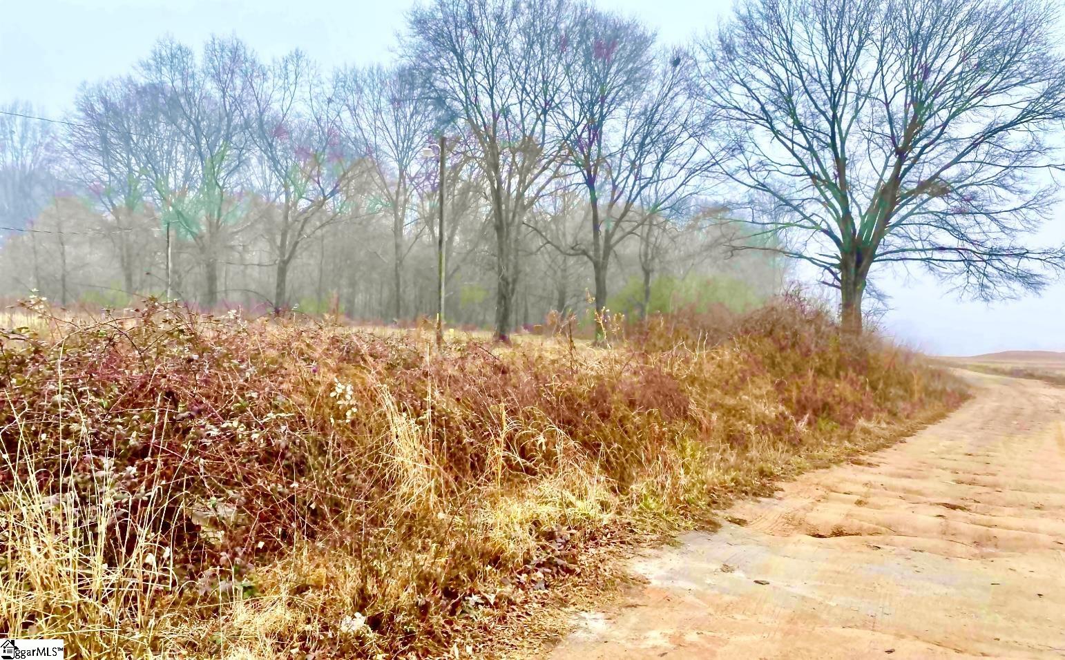 1342 East Georgia Road Woodruff, SC 29388 - Photo 2 of 5