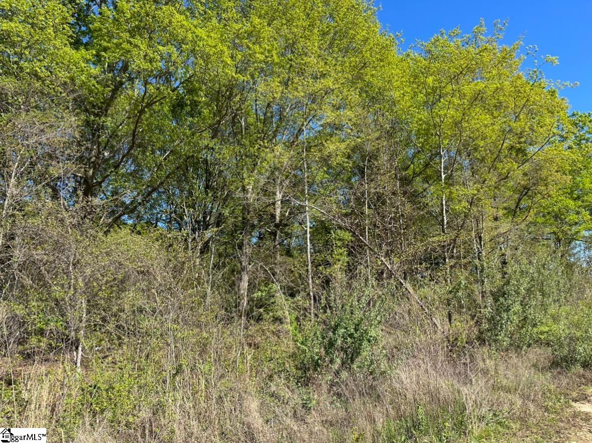 1342 East Georgia Road Woodruff, SC 29388 - Photo 4 of 5