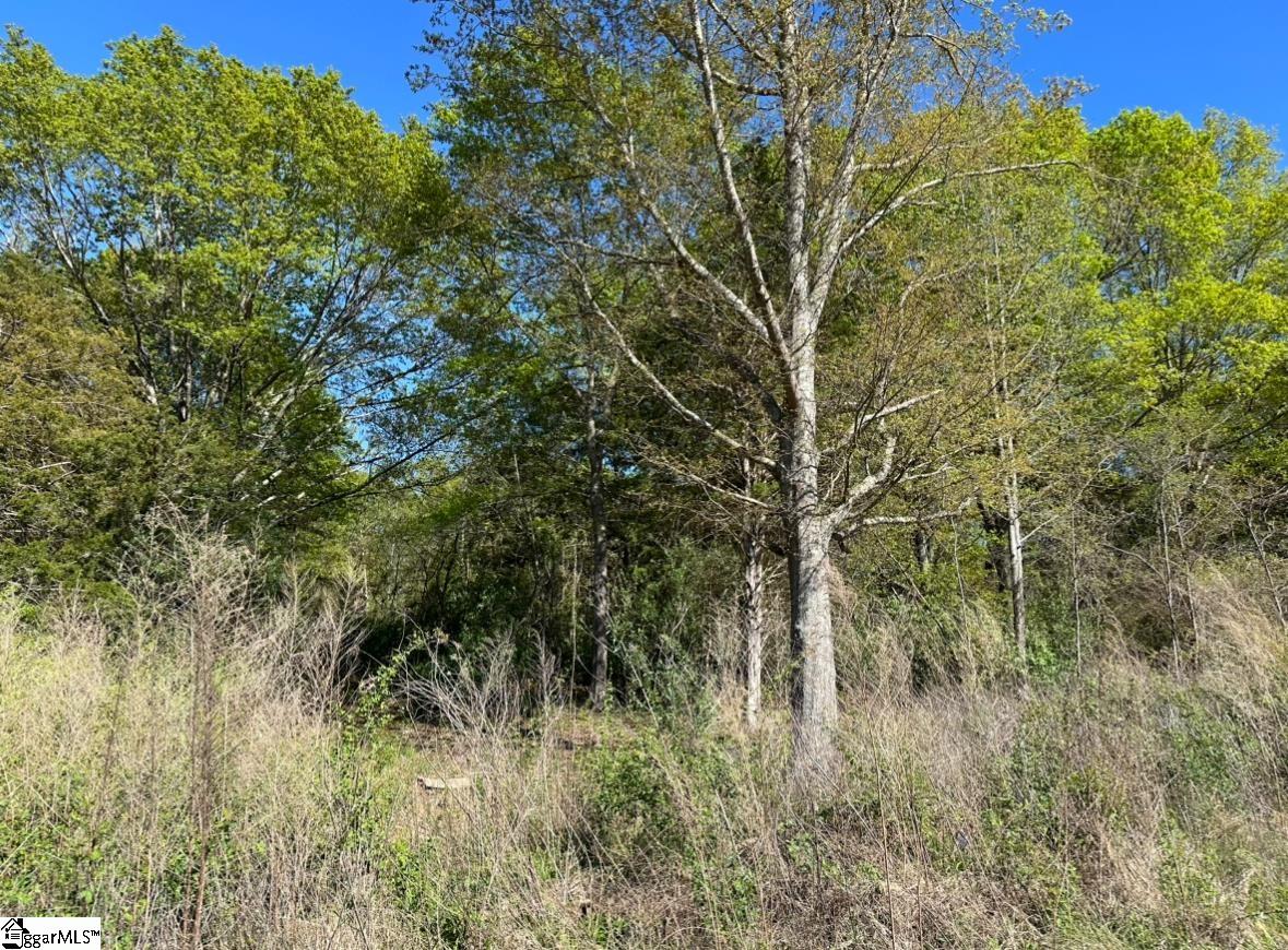 1342 East Georgia Road Woodruff, SC 29388 - Photo 5 of 5