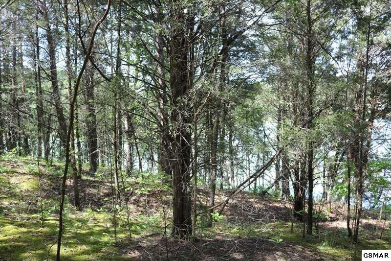 0 Lot 35 Buck Horn Road Sevierville, TN 37876 - Photo 9 of 30