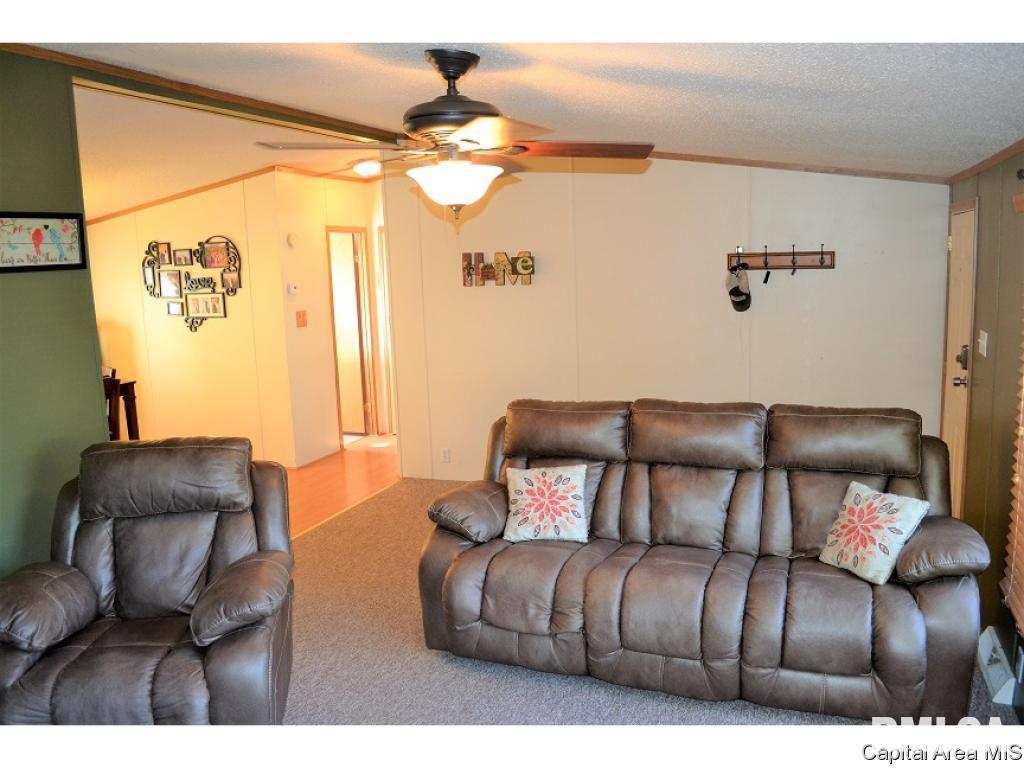 202 West Springfield Street Virginia, IL 62691 - Photo 3 of 18