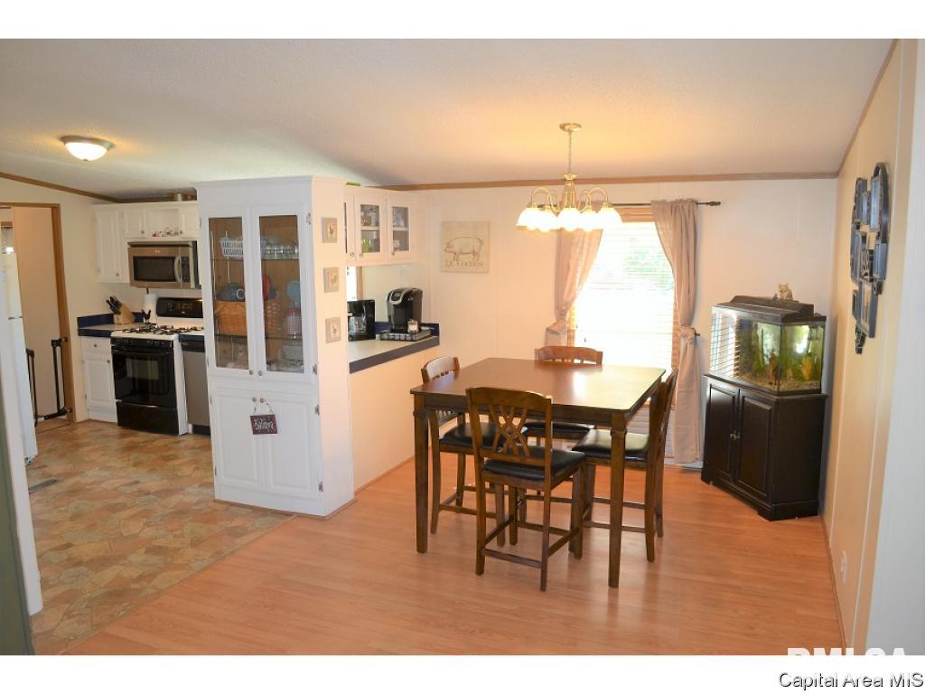 202 West Springfield Street Virginia, IL 62691 - Photo 5 of 18