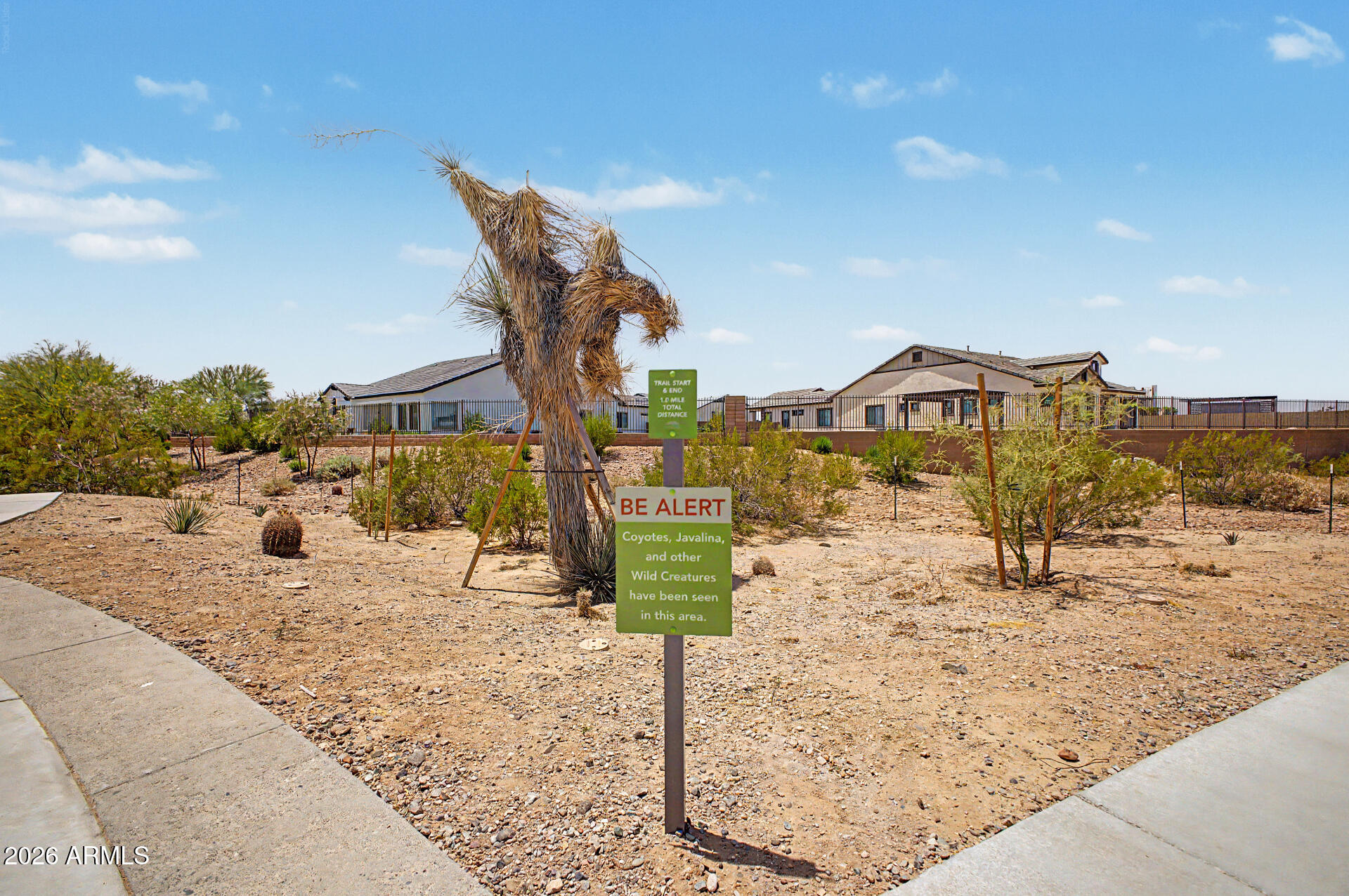 3948 North Ranier Mesa, AZ 85215 - Photo 49 of 69 47 - Ranier 3948