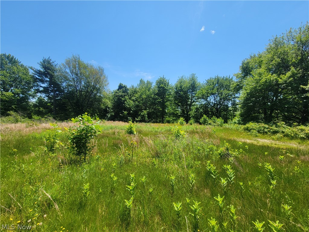 6825 North Ridge Road Madison, OH 44057 - Photo 10 of 17