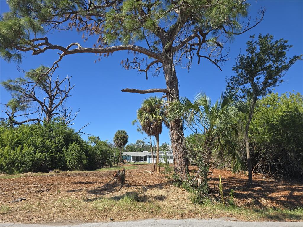 6313 Oelsner Street New Port Richey, FL 34652 - Photo 1 of 12