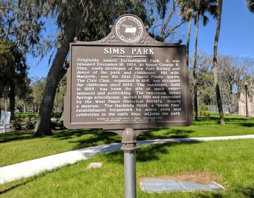 6313 Oelsner Street New Port Richey, FL 34652 - Photo 3 of 12