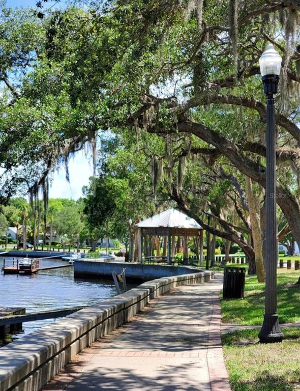 6313 Oelsner Street New Port Richey, FL 34652 - Photo 7 of 12