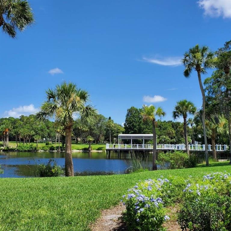 6313 Oelsner Street New Port Richey, FL 34652 - Photo 8 of 12