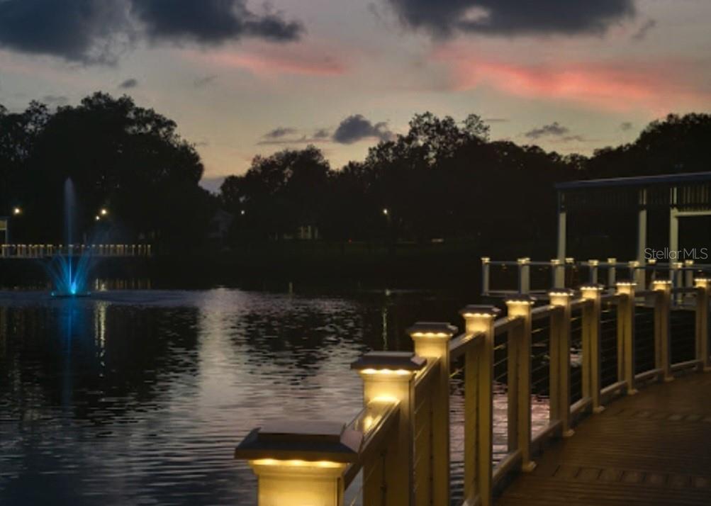 6313 Oelsner Street New Port Richey, FL 34652 - Photo 9 of 12