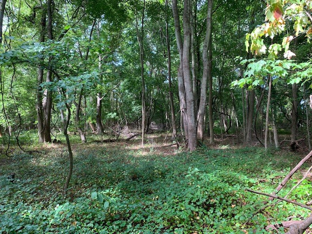 D Cheriton Cross Road, Unit D Cape Charles, VA 23310 - Photo 21 of 37