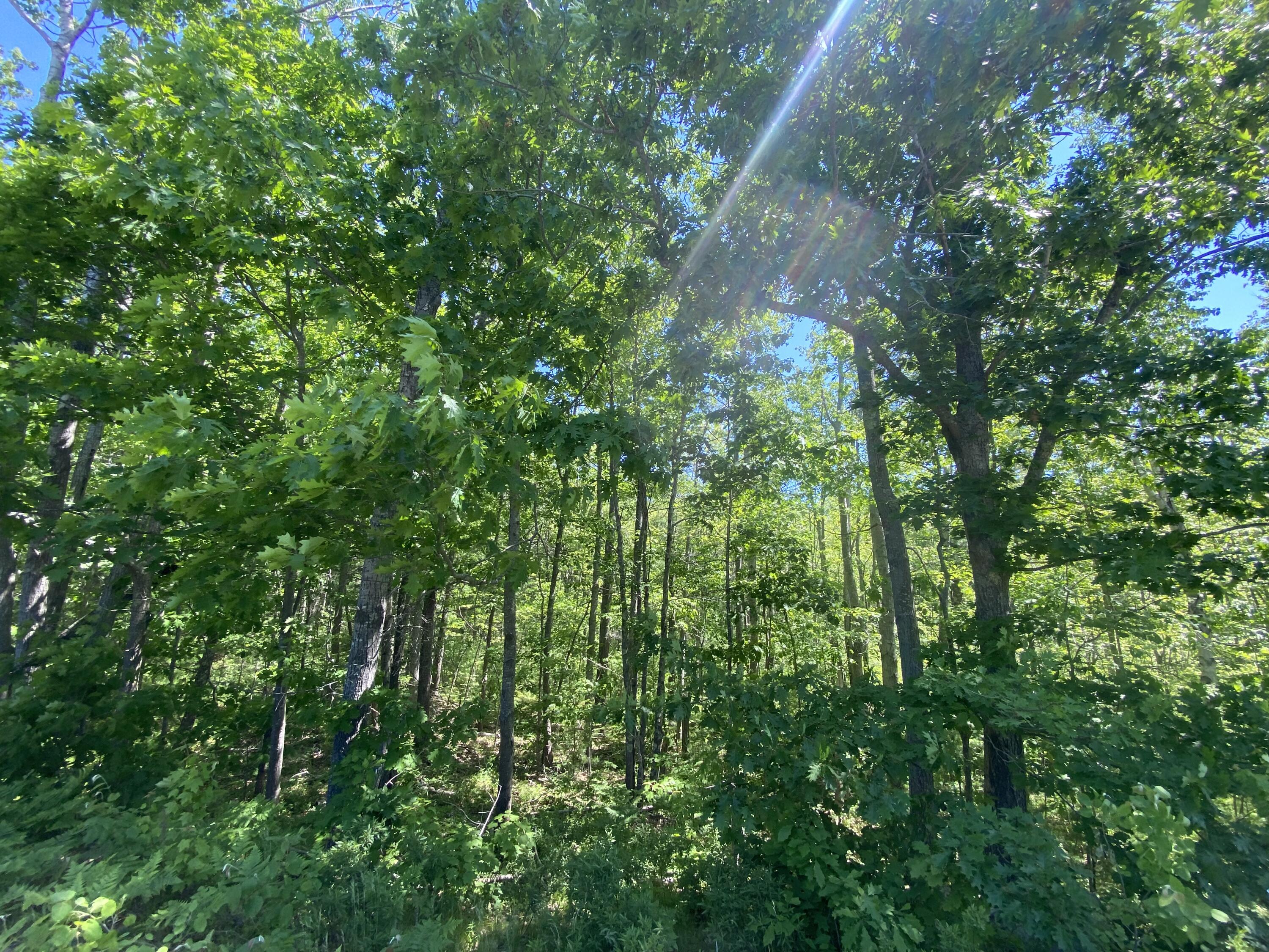 0 Old Pool Road Biddeford, ME 04005 - Photo 1 of 1 IMG_0609