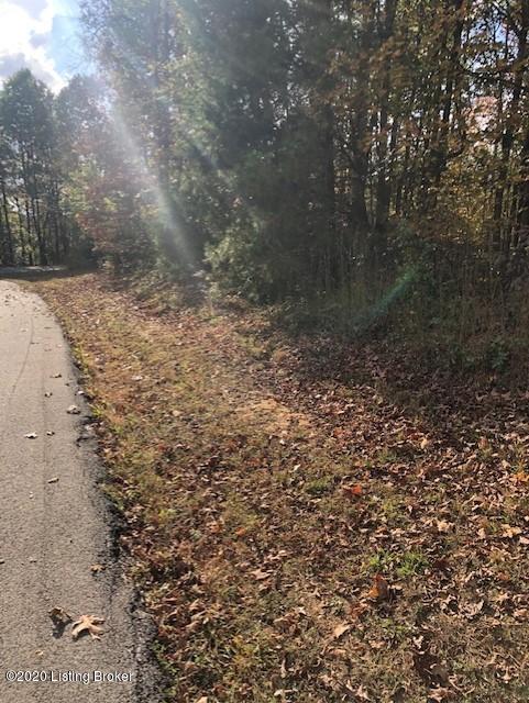 0 Poplar Ridge Road Cub Run, KY 42729 - Photo 6 of 11 PR06