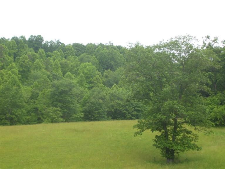 110 Kelly Branch Road London, KY 40741 - Photo 36 of 39 Photo 38