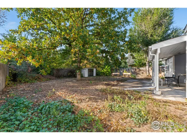 a view of a yard with plants and trees