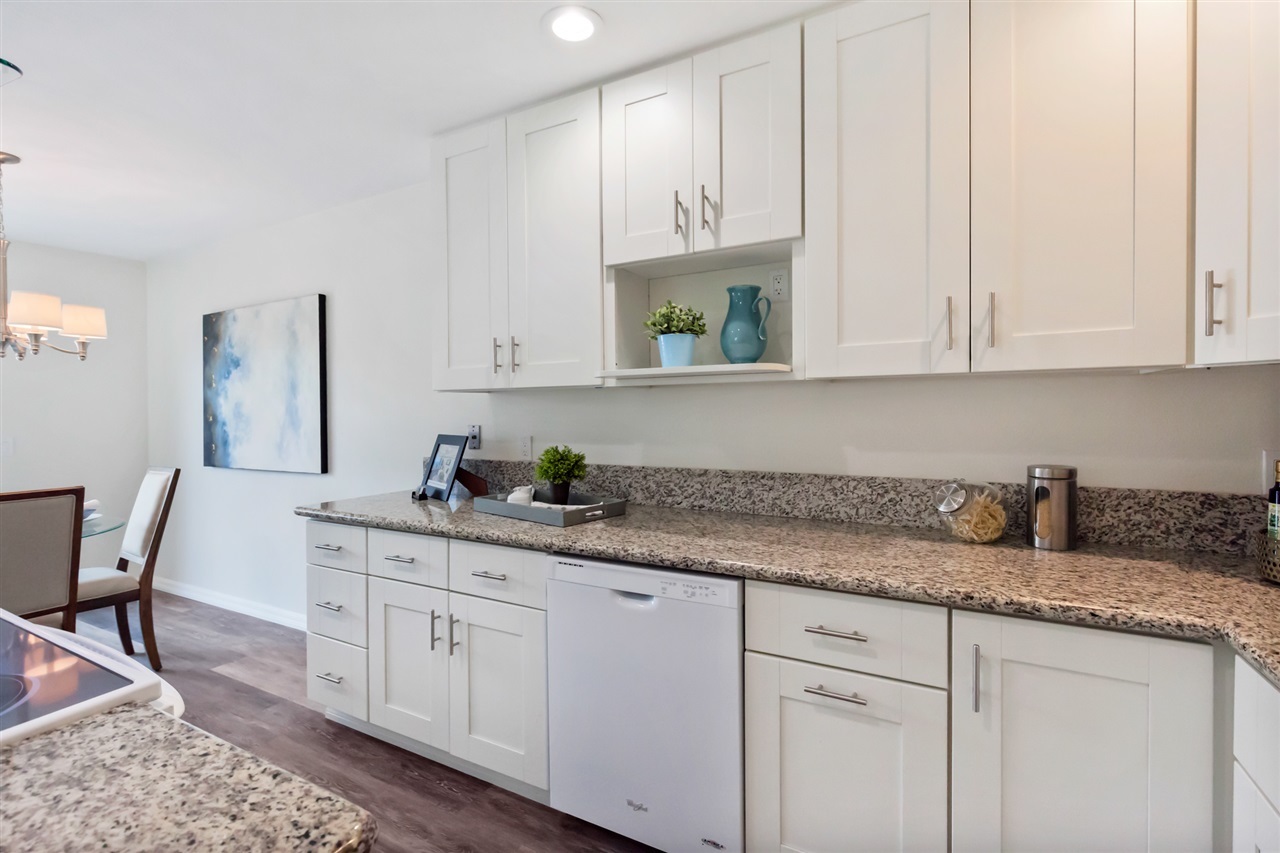208 Summerside Lane Encinitas, CA 92024 - Photo 9 of 25 Gallery Image 9