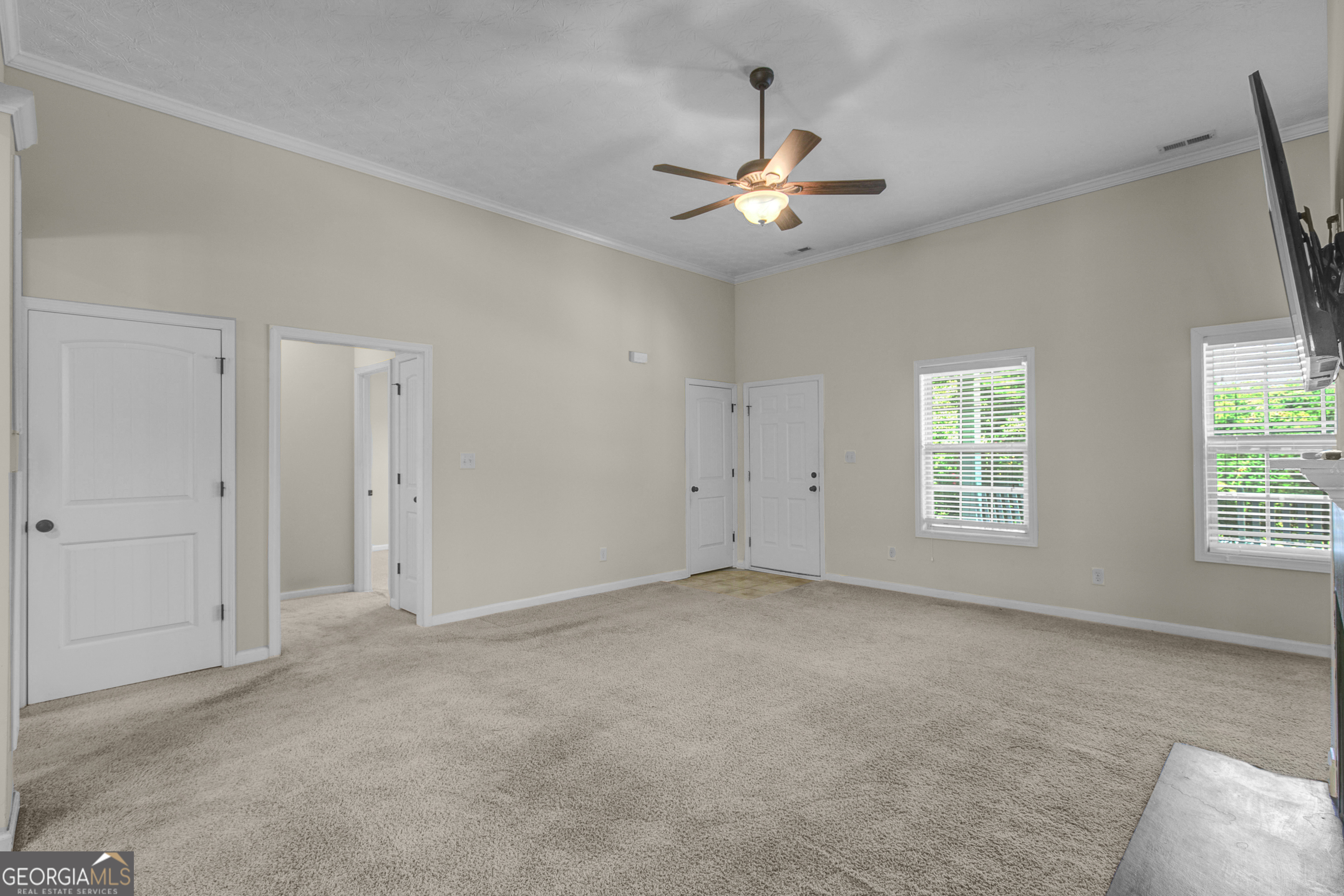 175 Spring Circle Senoia, GA 30276 - Photo 11 of 46