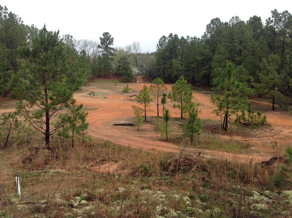 Ernest-johnson Ernest Johnson Road Wagener, SC 29164 - Photo 2 of 6