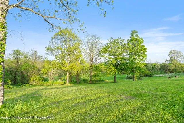 a view of yard with grass and trees