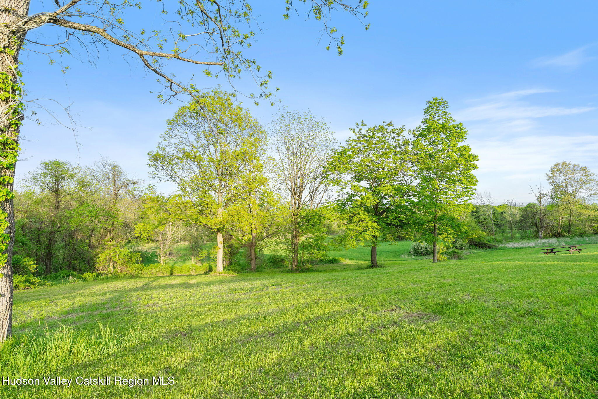 5-web-or-mls-314-high-rock-rd