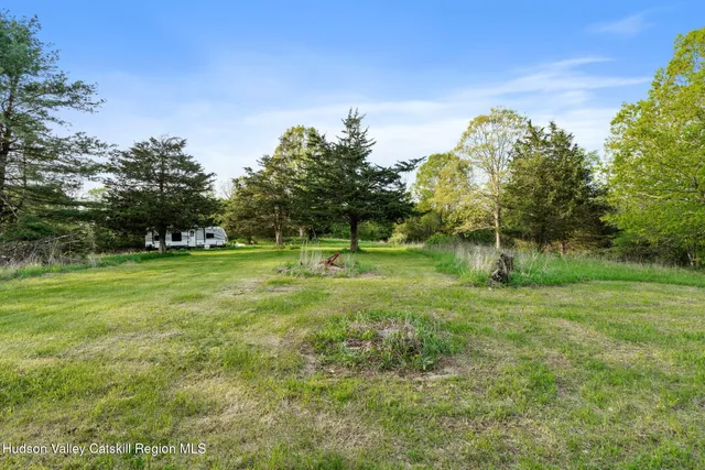 a garden with trees in the background