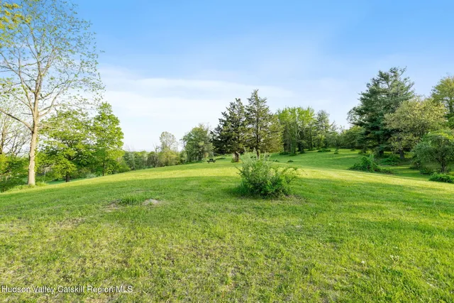a view of a garden with a trees
