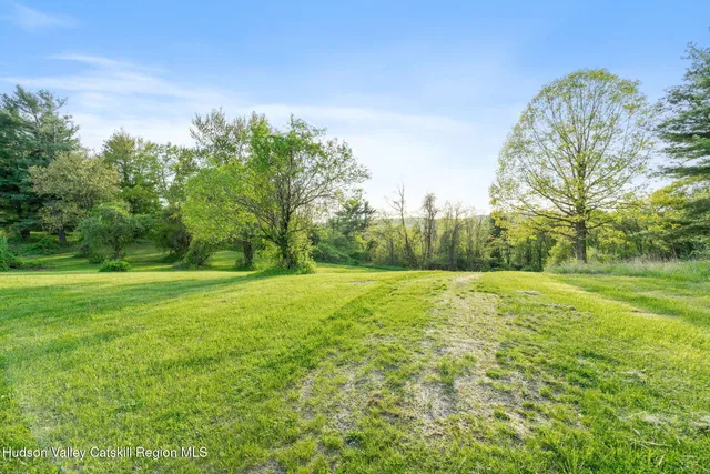 a view of a field with trees in the background