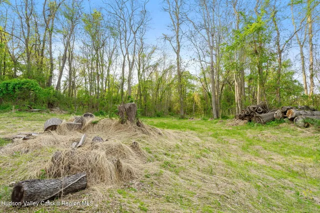 a view of backyard with green space