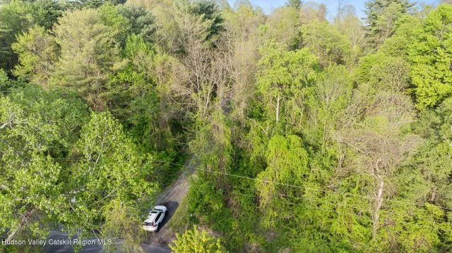 a view of a yard with plants and a small yard