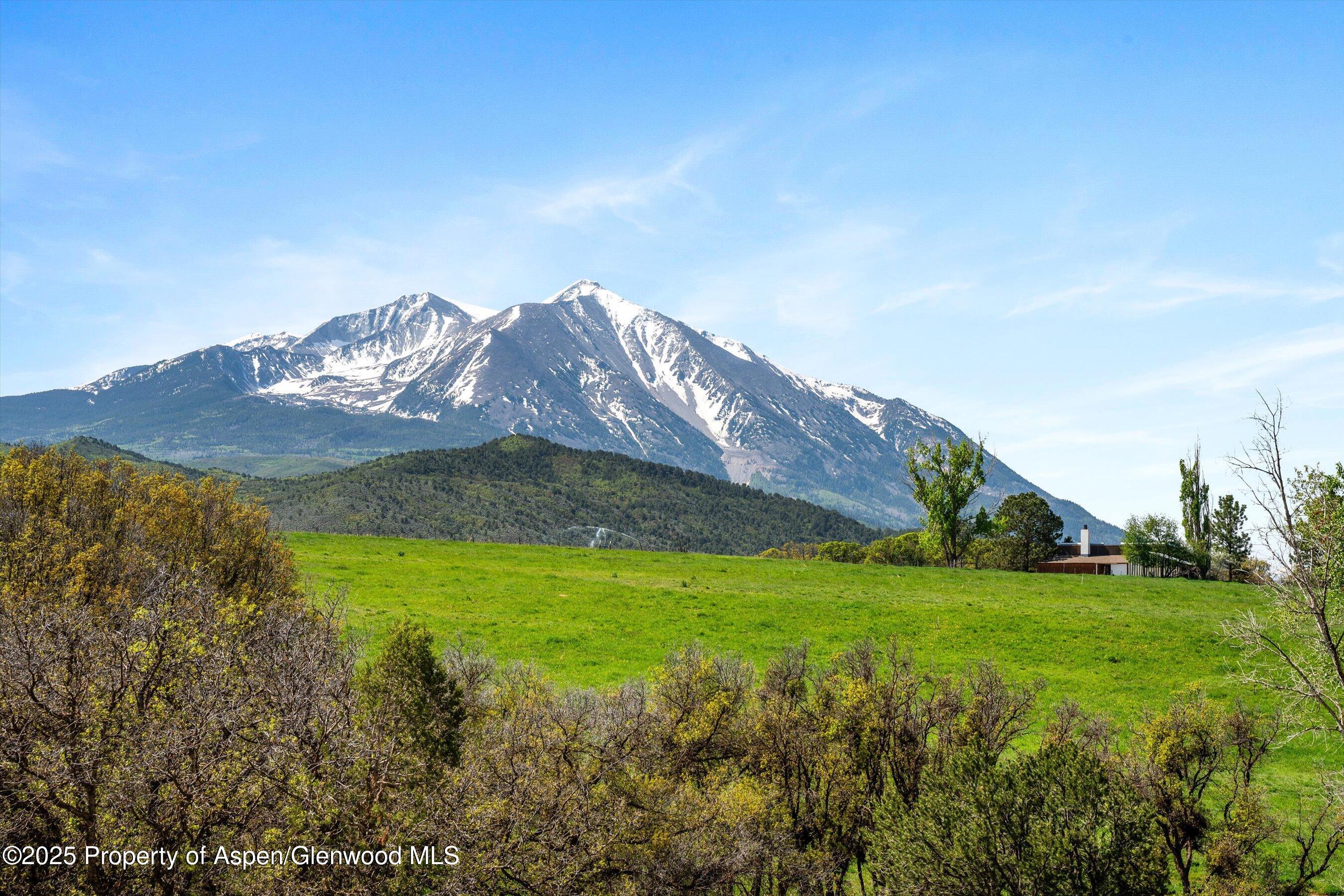 1634 Prince Creek Road Carbondale, CO 81623 - Photo 11 of 25 a view of a house with a yard and a large tree