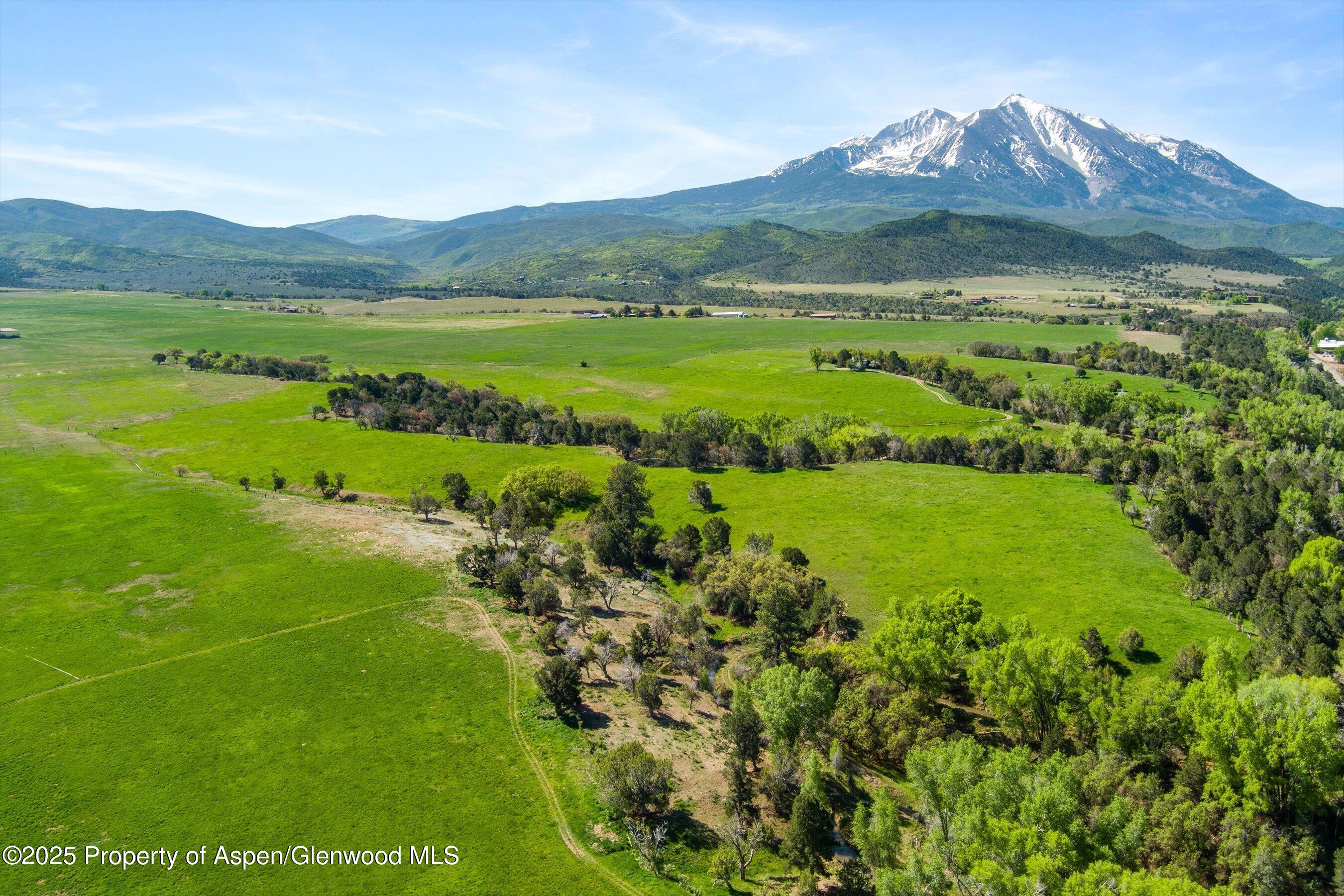 1634 Prince Creek Road Carbondale, CO 81623 - Photo 17 of 25 a view of a lush green hillside and houses