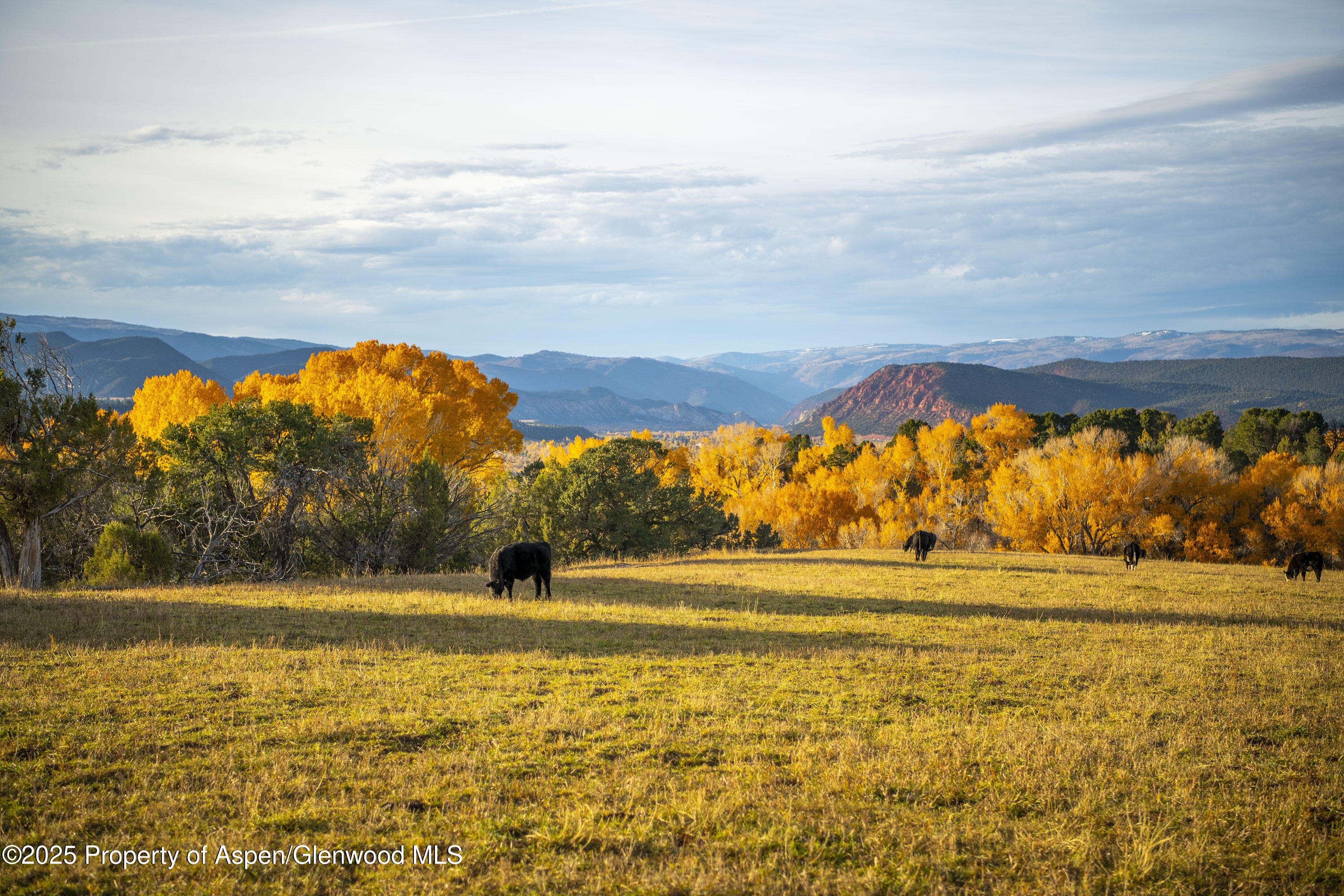 1634 Prince Creek Road Carbondale, CO 81623 - Photo 19 of 25 a view of an ocean and a mountain
