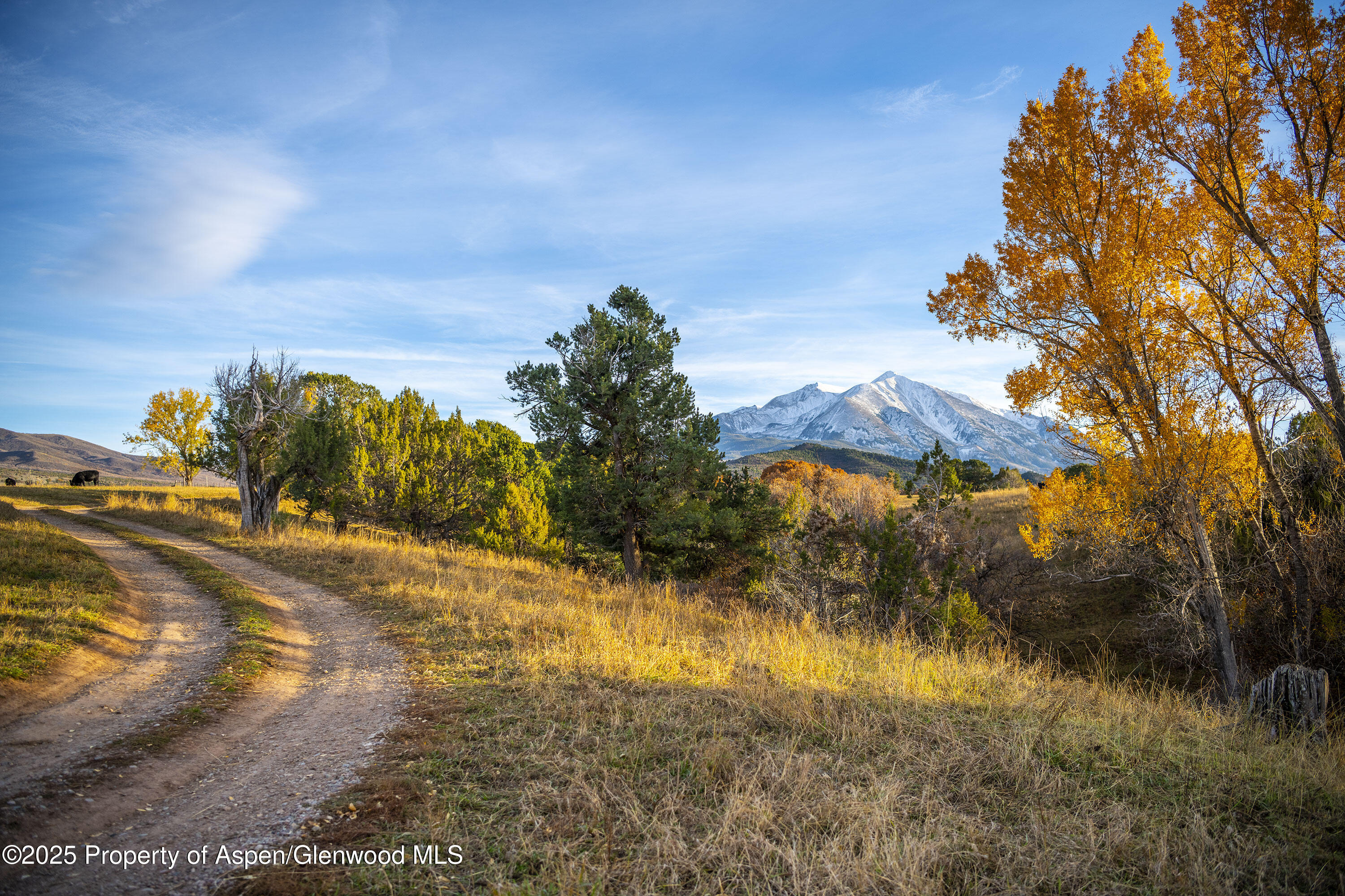 1634 Prince Creek Road Carbondale, CO 81623 - Photo 9 of 25 a view of a lake