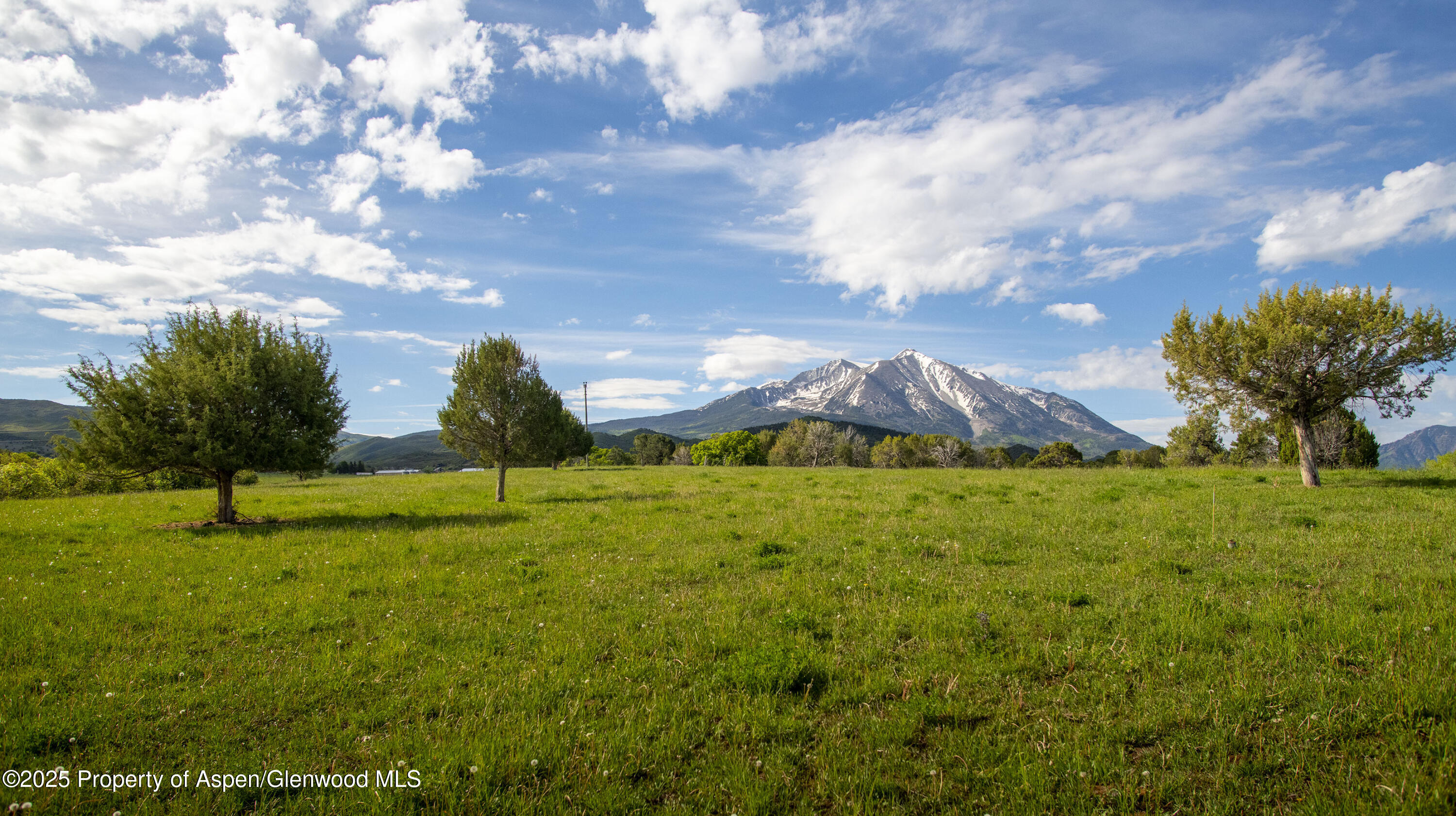 1634 Prince Creek Road Carbondale, CO 81623 - Photo 10 of 25 a view of an outdoor space and yard