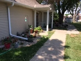a view of a backyard with potted plants and a large tree