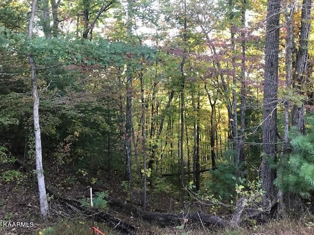 5 Chestnut Mountain Road Reliance, TN 37369 - Photo 5 of 9 Gallery Image 5