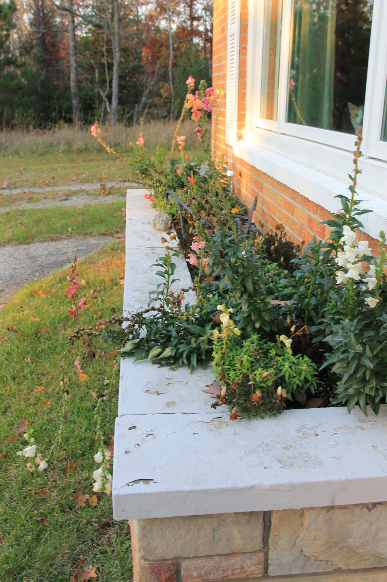11197 Steckert Bridge Road Roscommon, MI 48653 - Photo 41 of 41 Gallery Image 41