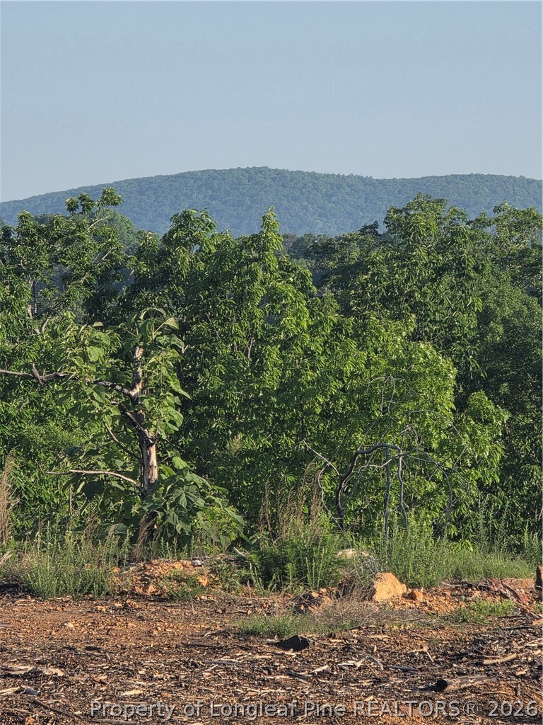 0 Skeen View Road Asheboro, NC 27205 - Photo 2 of 20 a view of a field