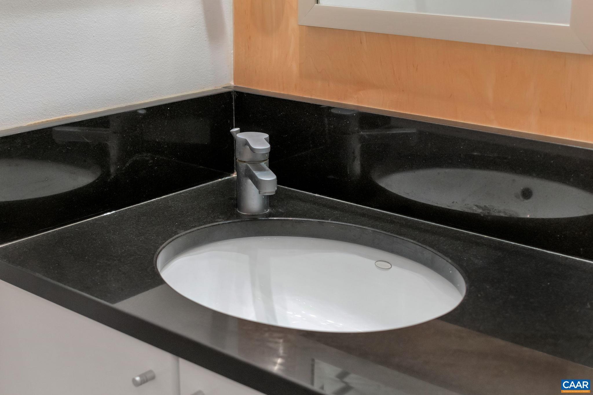 1406 Holly Road Charlottesville, VA 22901 - Photo 40 of 62 a close view of sink