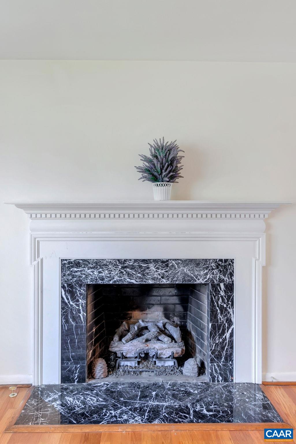 1406 Holly Road Charlottesville, VA 22901 - Photo 8 of 62 a close view of a fireplace in the room