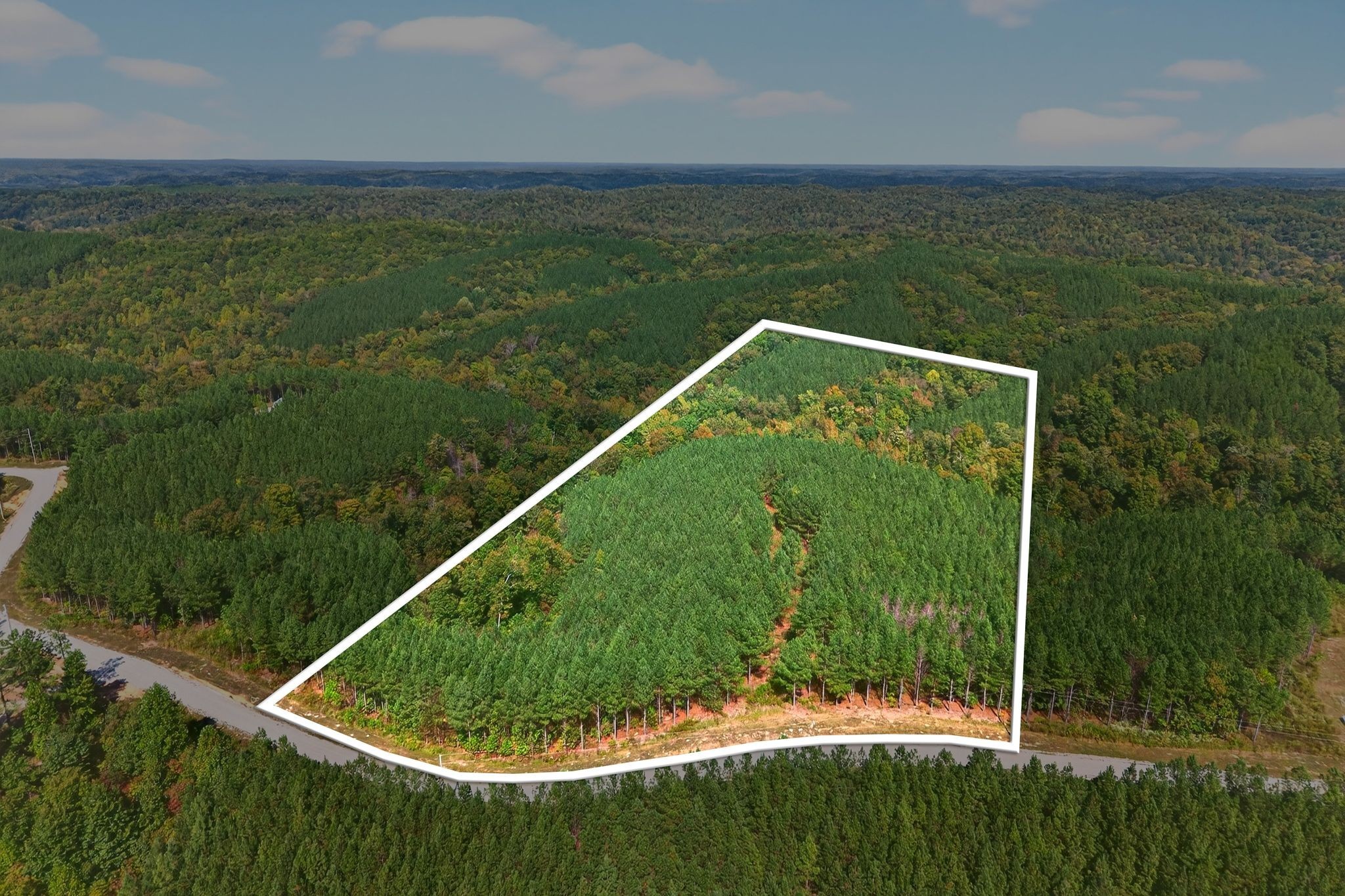 a view of a back yard