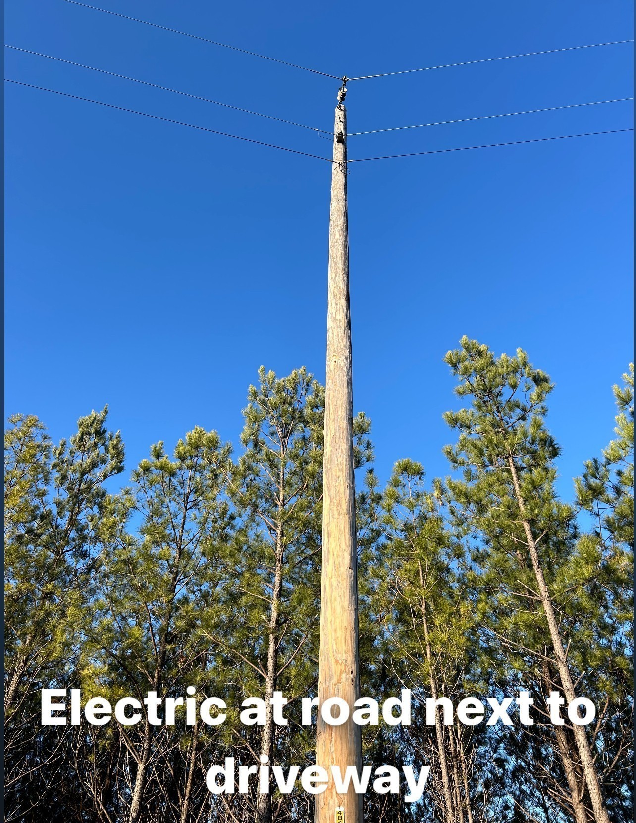 210 Ridgewood Drive Linden, TN 37096 - Photo 12 of 16 a view of a tree with flower in front of it
