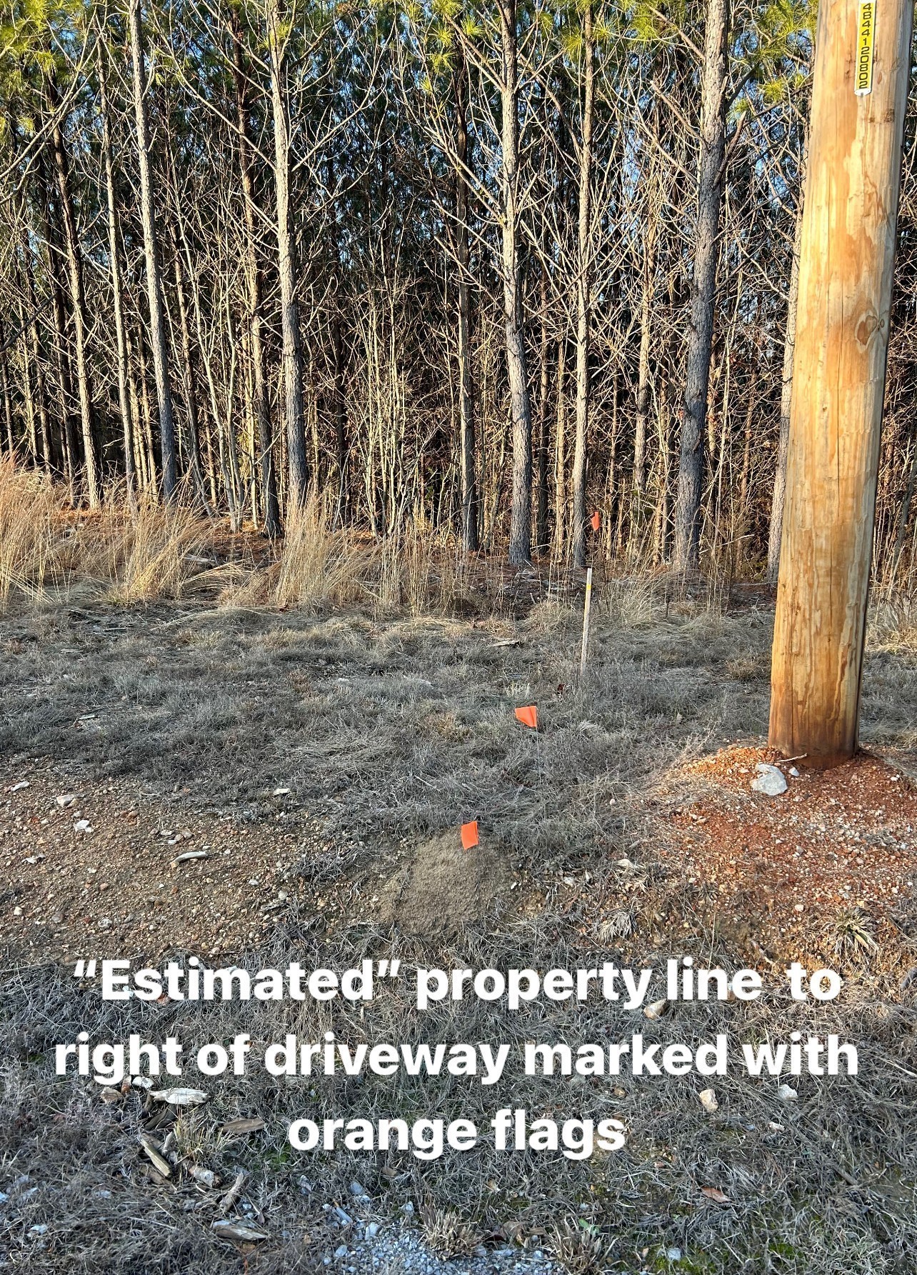 210 Ridgewood Drive Linden, TN 37096 - Photo 14 of 16 a view of outdoor space with wooden fence
