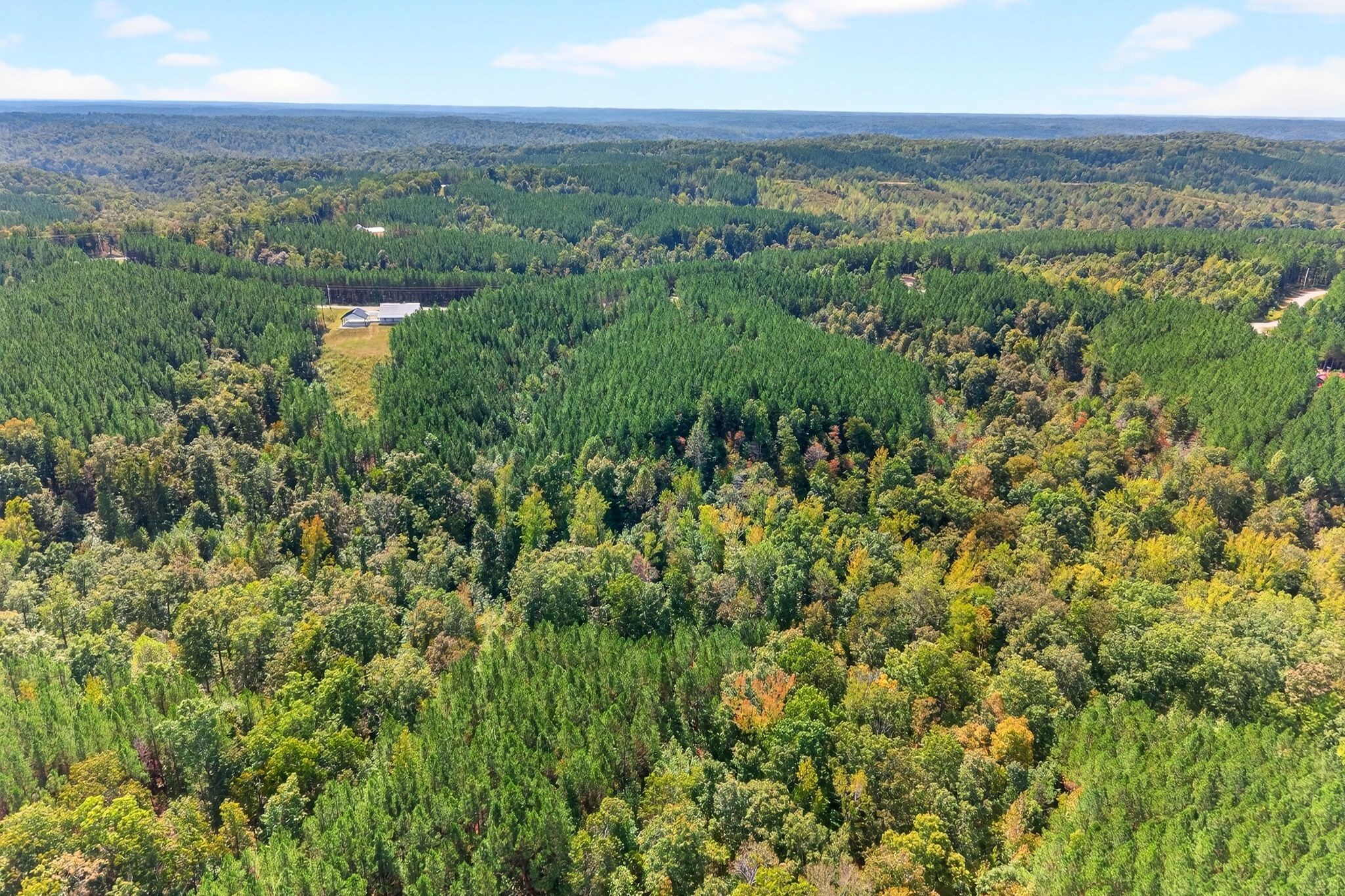 210 Ridgewood Drive Linden, TN 37096 - Photo 2 of 16 a view of city and green space