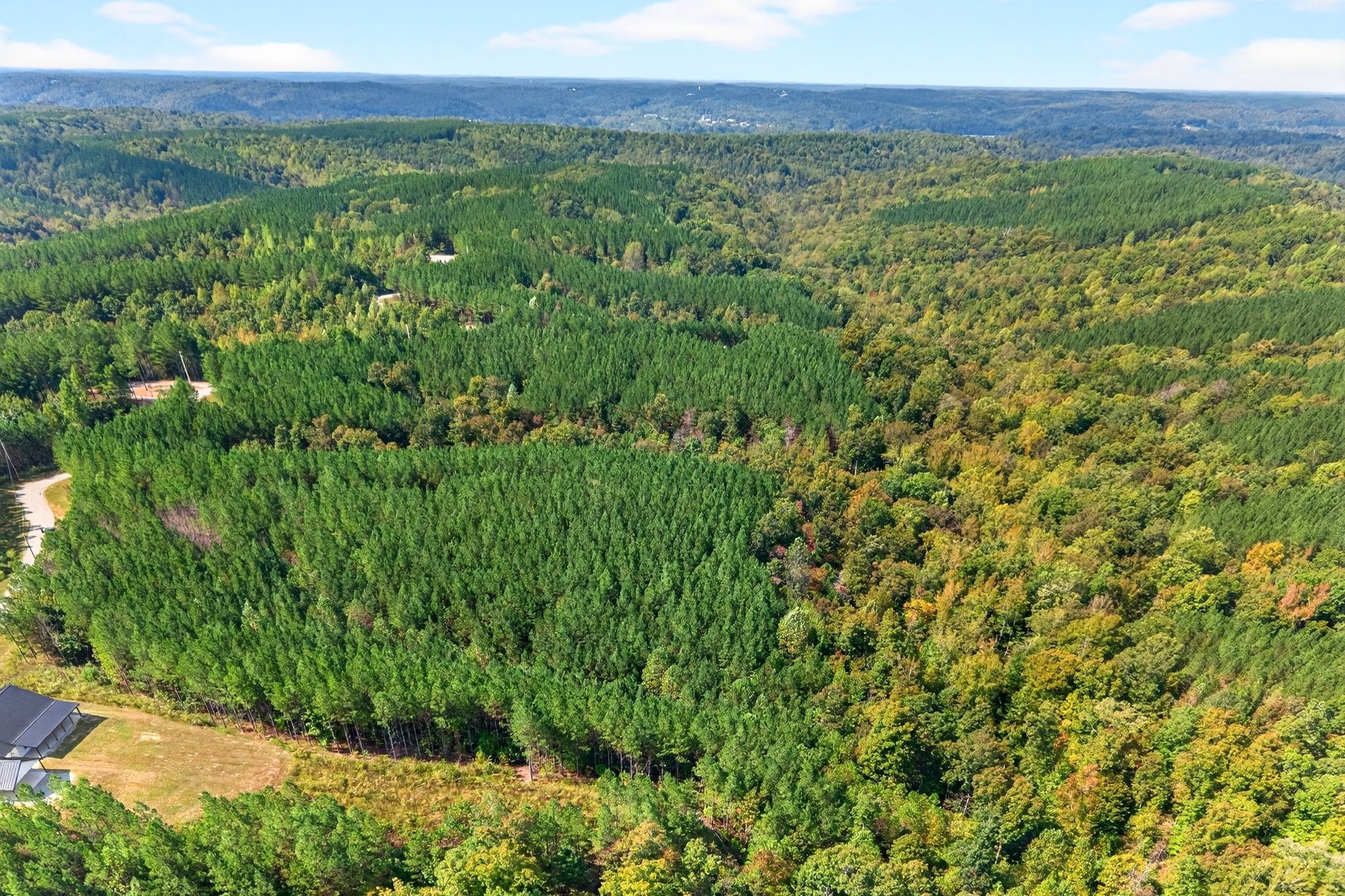 210 Ridgewood Drive Linden, TN 37096 - Photo 3 of 16 a view of a lush green forest with trees and some houses