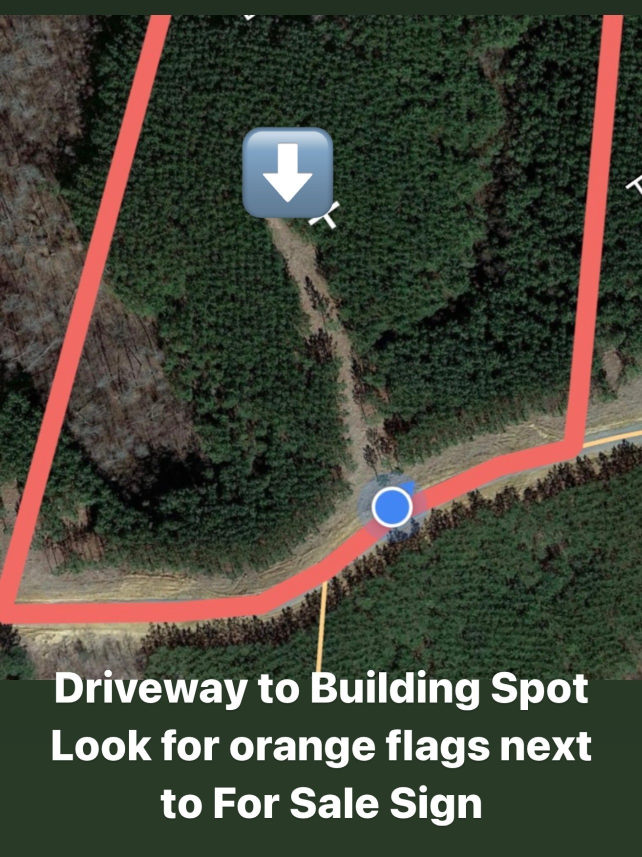 210 Ridgewood Drive Linden, TN 37096 - Photo 4 of 16 a view of entryway