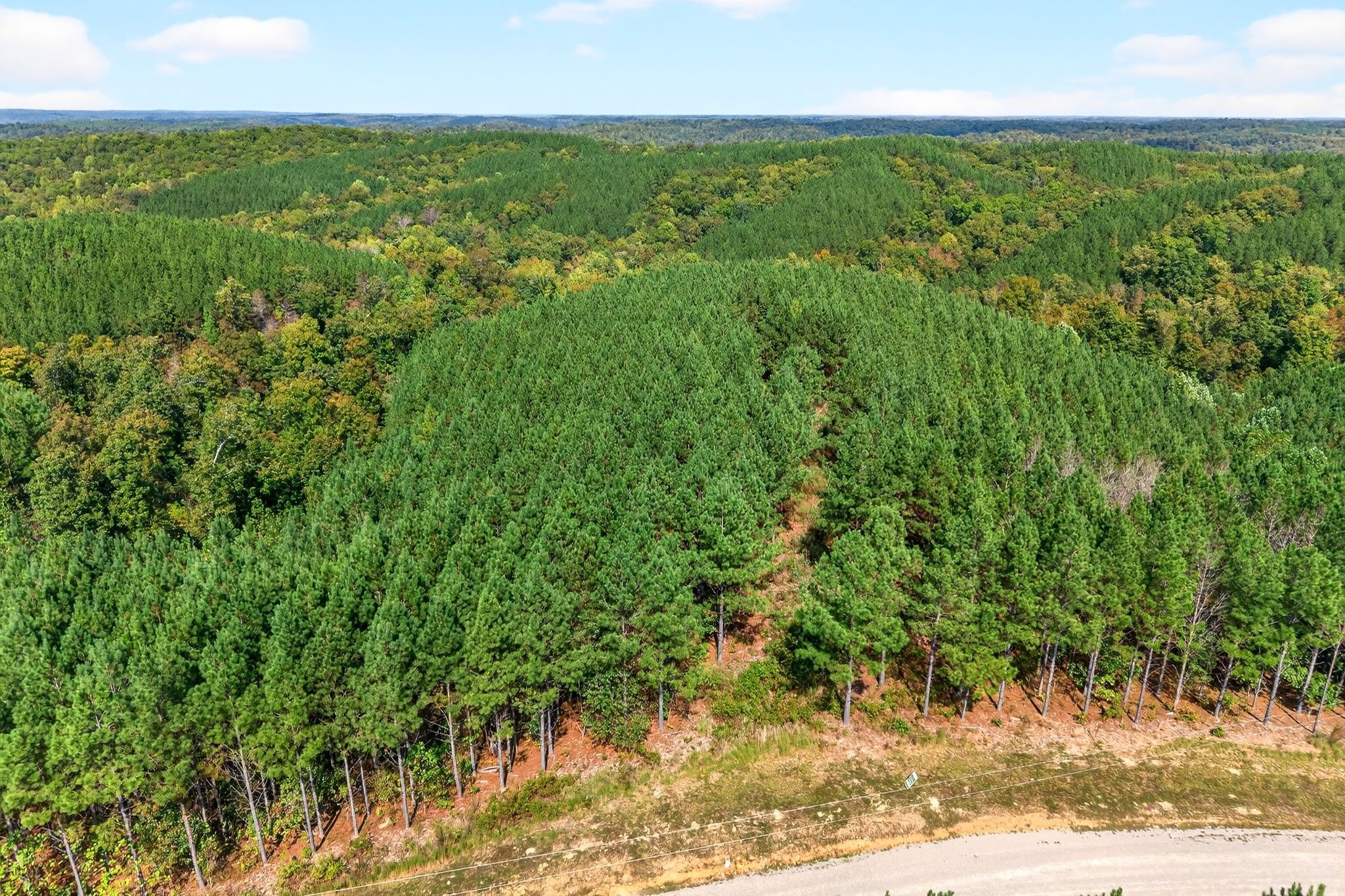 210 Ridgewood Drive Linden, TN 37096 - Photo 5 of 16 a view of yard with green space