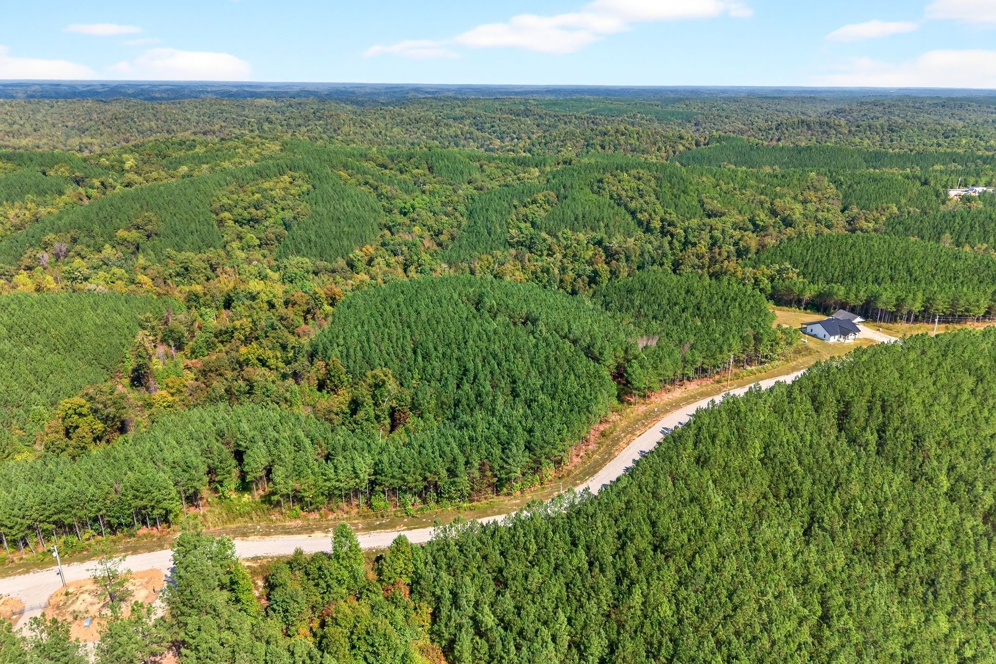 210 Ridgewood Drive Linden, TN 37096 - Photo 7 of 16 a view of a yard with a lake