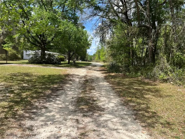 a view of a yard with a trees