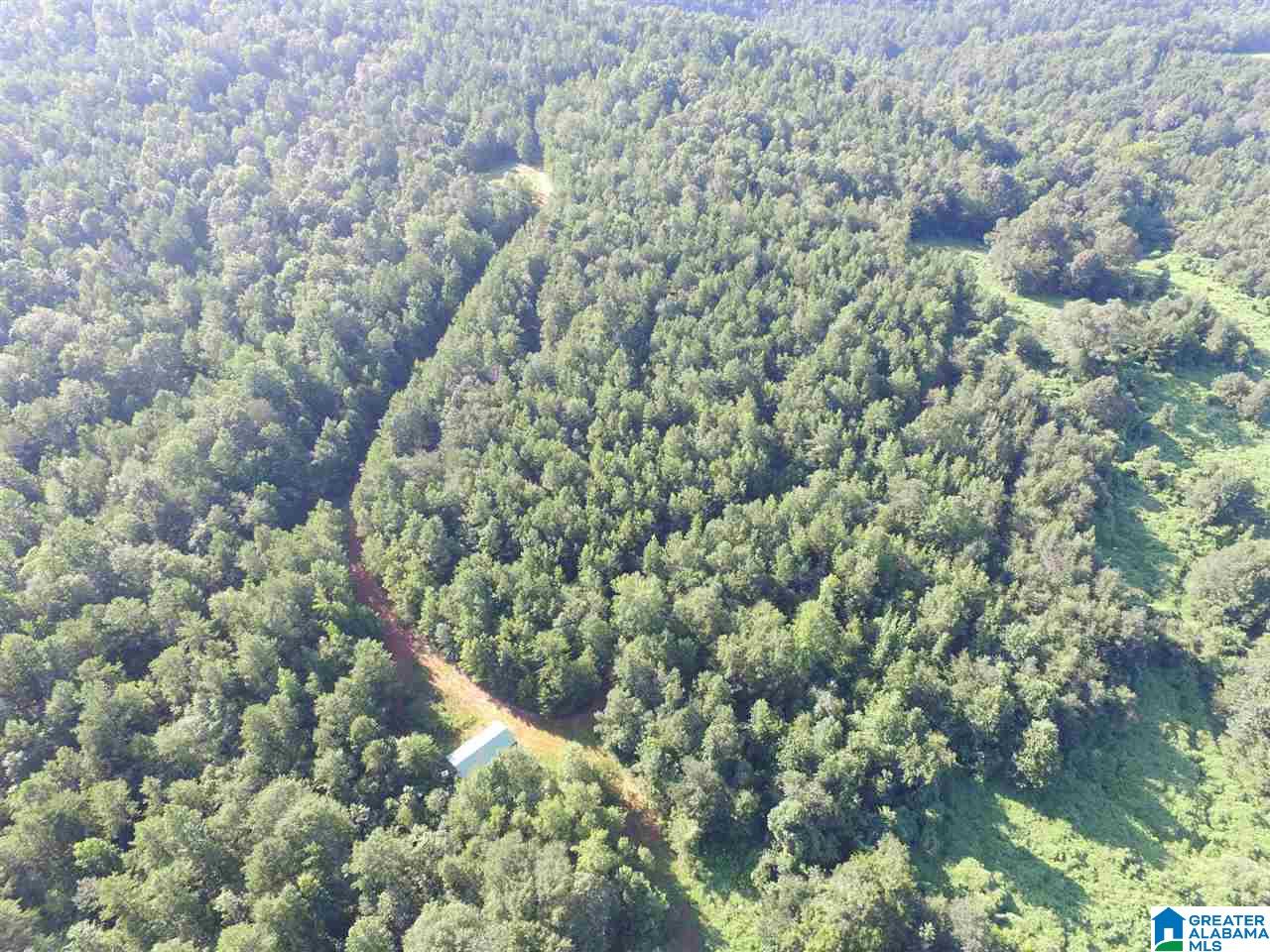 0 Carnes Chapel Road, Unit 113 Gallant, AL 35972 - Photo 2 of 32