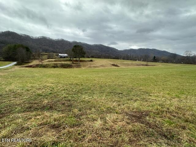 186 Blair Road Dryden, VA 24243 - Photo 4 of 30 IMG_7211